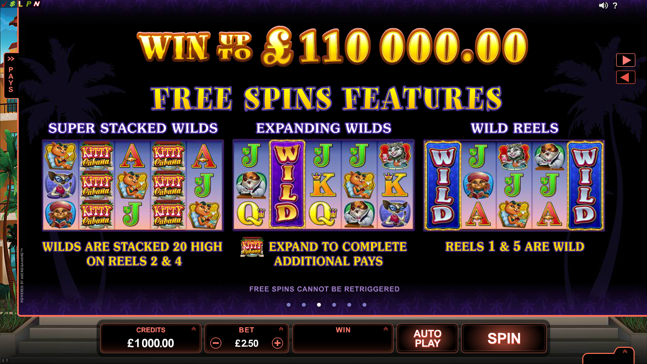 Kitty Cabana Online Slot Scatter Win